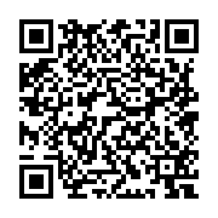 QR code for 9LP9133