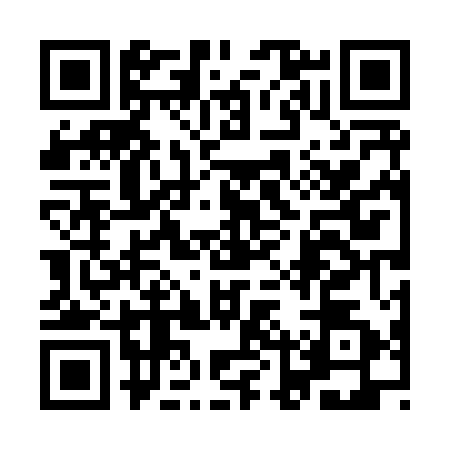 QR code for 9LT8529
