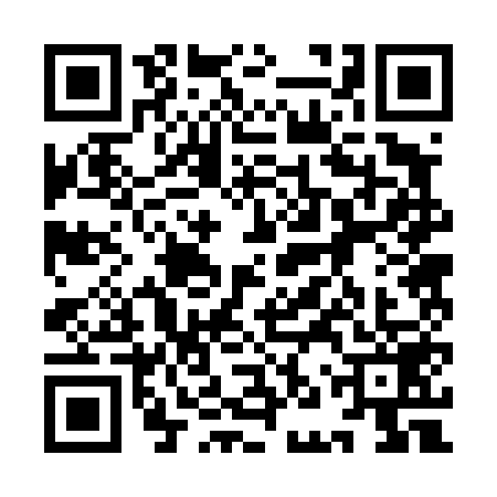 QR code for 9NR4593