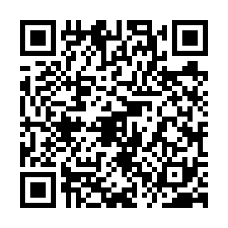 QR code for 9PZ6311