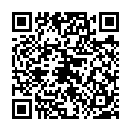 QR code for 9PZ6341