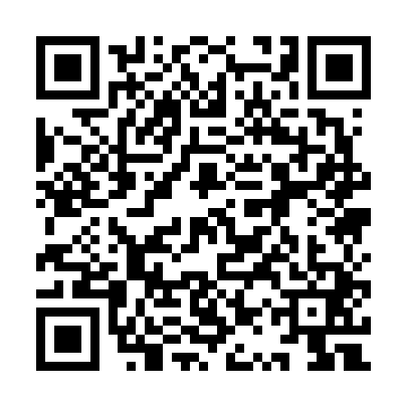 QR code for 9QQ6411
