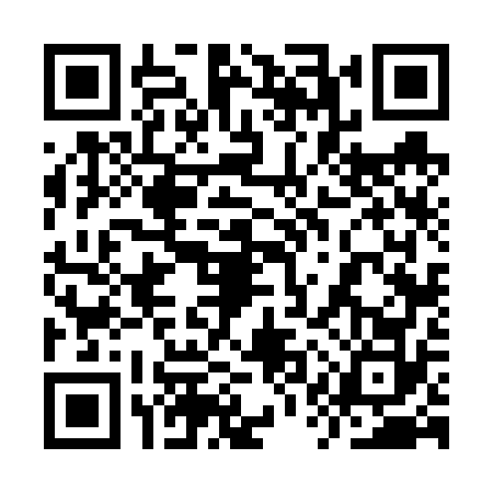 QR code for 9QV6729