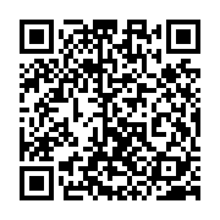QR code for 9SIN29