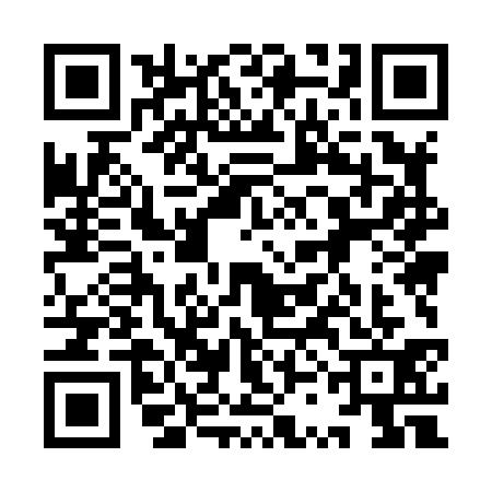 QR code for 9SM8313