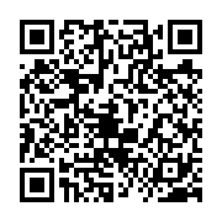 QR code for 9WI6311
