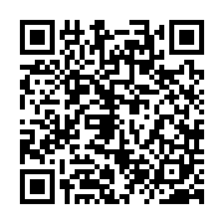 QR code for 9ZH3411