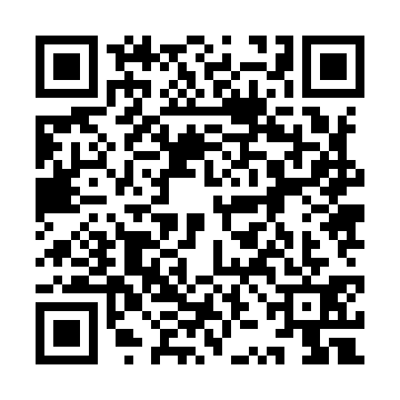 QR code for 9ZJ9313