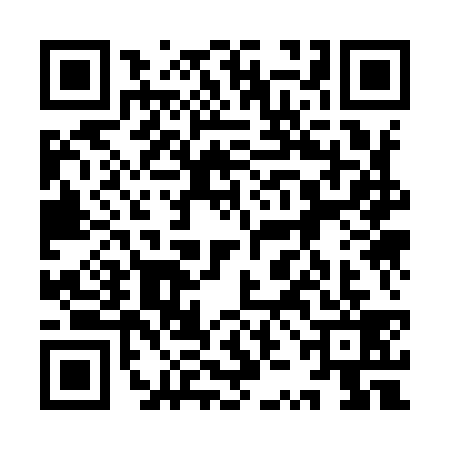 QR code for 9ZK9393