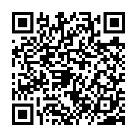 QR code for 9ZO6511