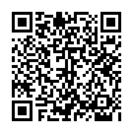 QR code for 9ZY6393