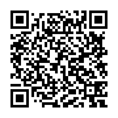 QR code for AER838
