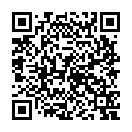 QR code for ANI175