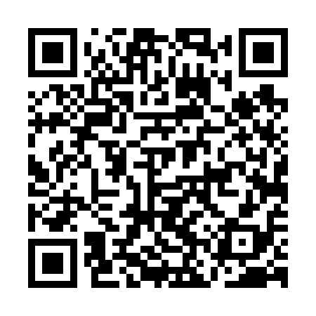 QR code for ANT618
