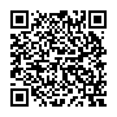 QR code for APA295