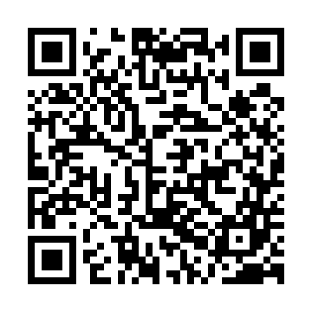 QR code for APG547