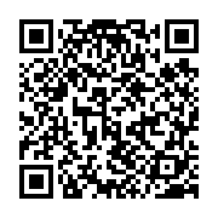 QR code for AYO668
