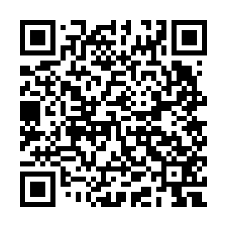 QR code for BAG653