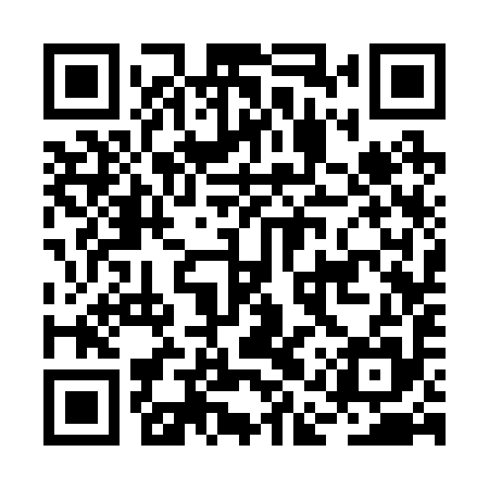QR code for BAS295