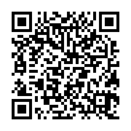 QR code for BIG265