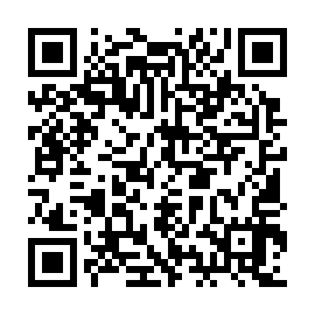 QR code for BIM317