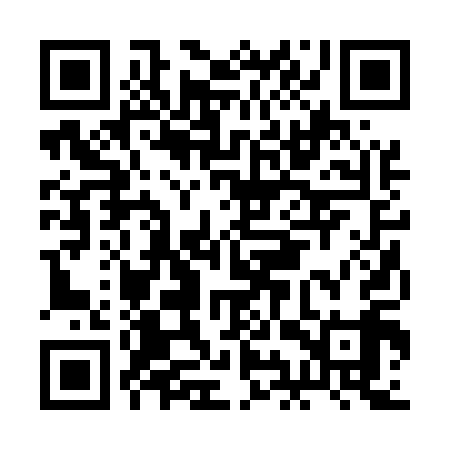 QR code for BIR519