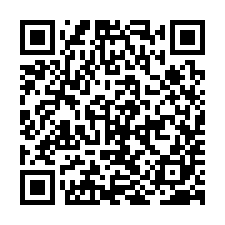 QR code for BIS380