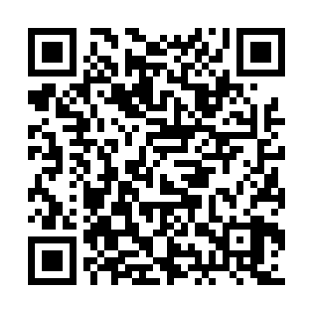 QR code for BIV428