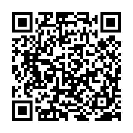 QR code for BIZ494