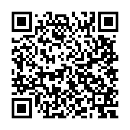 QR code for BIZ501