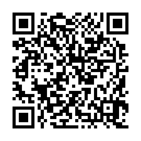 QR code for BJI384