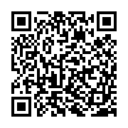 QR code for BLI453