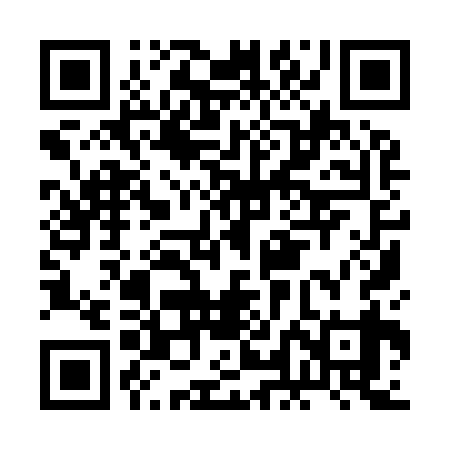 QR code for BLI939