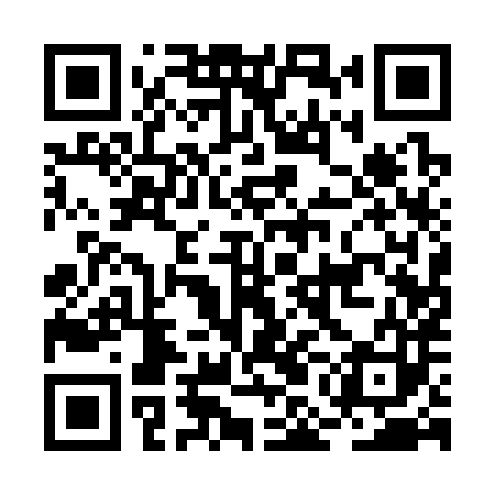 QR code for BMA383