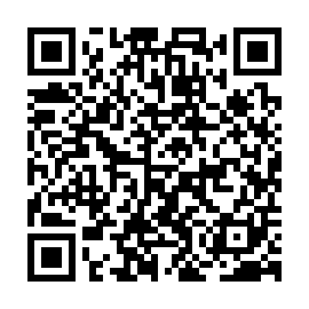 QR code for BOI301