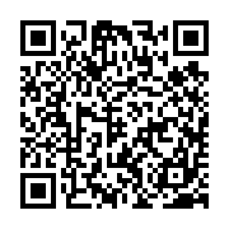QR code for BOR617