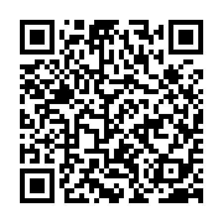 QR code for BOS919