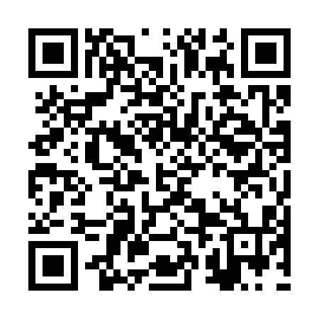 QR code for BRO314