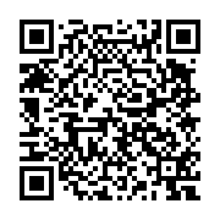 QR code for BZQ411