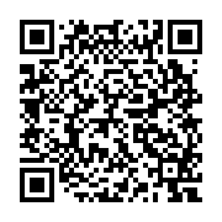 QR code for BZS384