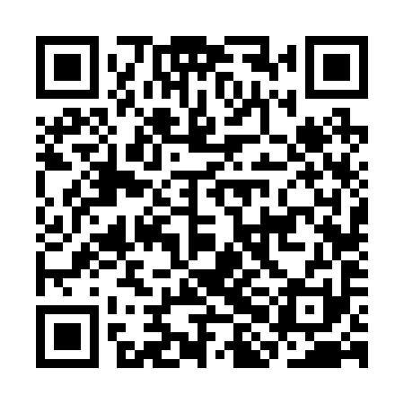 QR code for CHF291