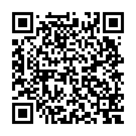 QR code for CHK699