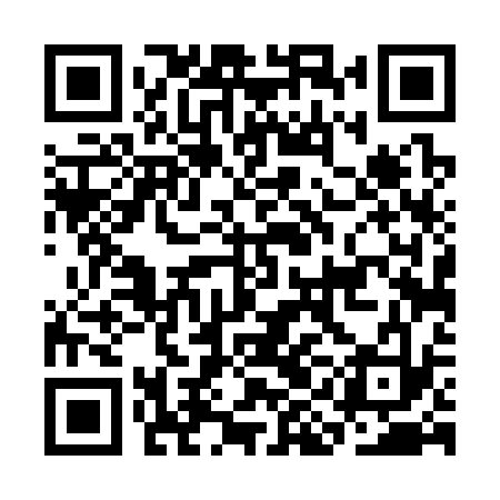 QR code for CID333