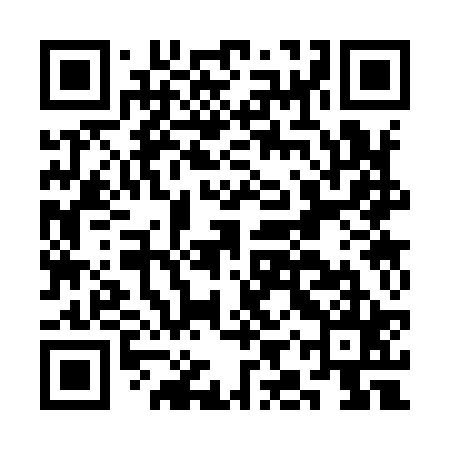 QR code for CIS925
