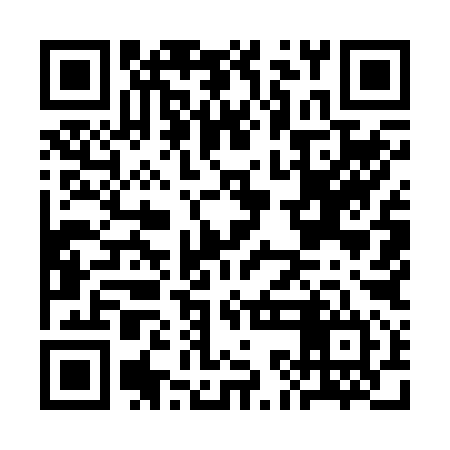 QR code for CKM294