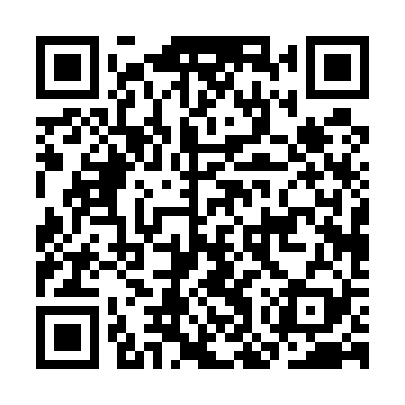QR code for COP529