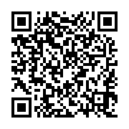 QR code for CQN951