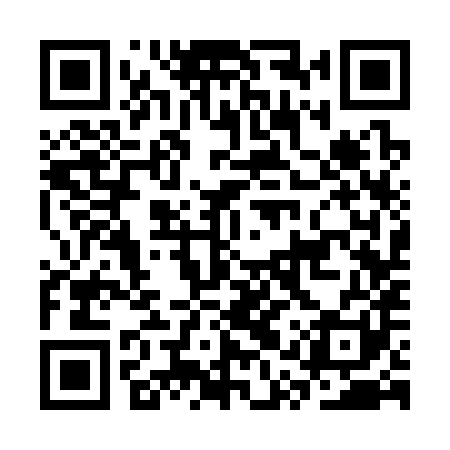 QR code for CQS381