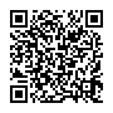 QR code for CZI919