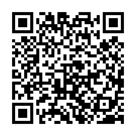 QR code for CZP419
